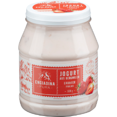 lesa-unsere-produkte-jogurt-erdbeer-500g