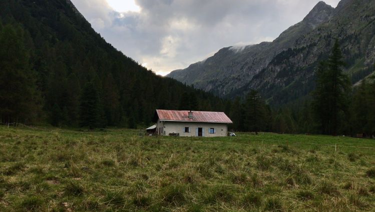 lesa-unsere-milchbauern-val-bever-bauernhof-teaser