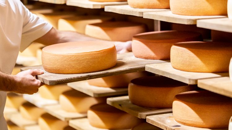 lesa-1706-hoch-hinaus-produkt-kaese-teaser