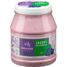 lesa-unsere-produkte-jogurt-bio-heidelbeere